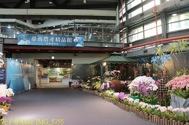 IMG_5755.jpg - 2023台灣國際蘭展