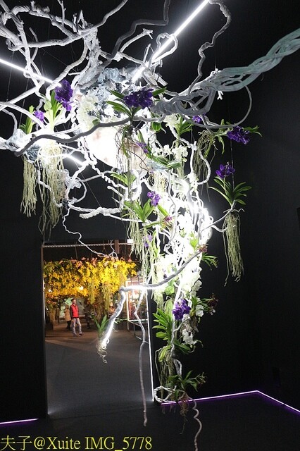 IMG_5778.jpg - 2023台灣國際蘭展