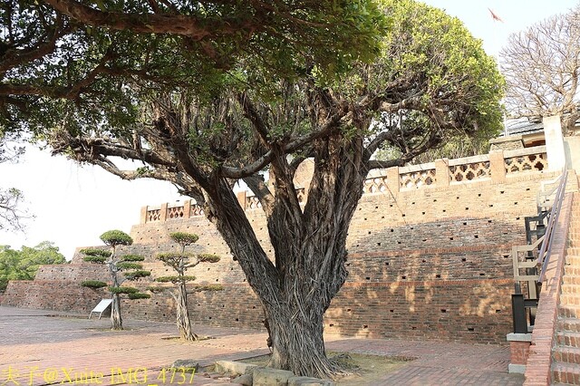 IMG_4737.jpg - 台南安平古堡 20230302 IMG_4737.jpg - 台南安平古堡 20230302