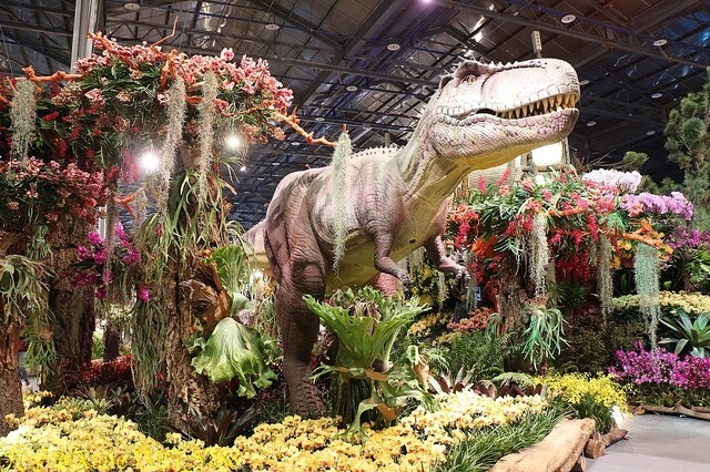 IMG_5788.jpg - 2023台灣國際蘭展