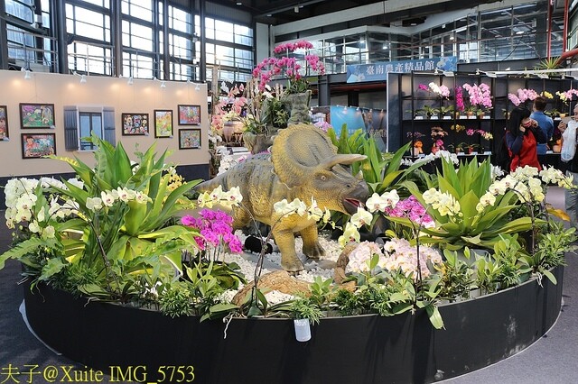 IMG_5753.jpg - 2023台灣國際蘭展