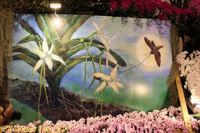 IMG_5628.jpg - 2023台灣國際蘭展