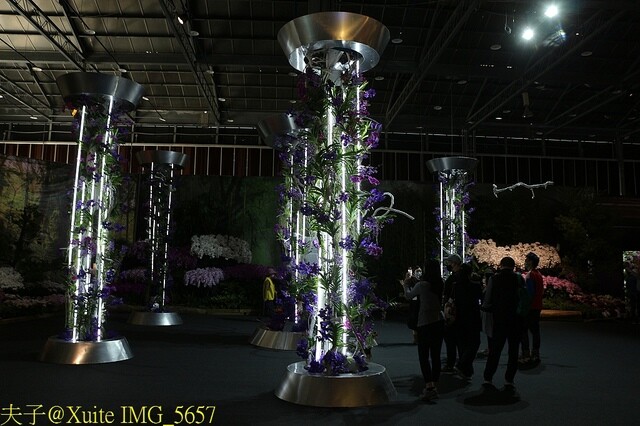 IMG_5657.jpg - 2023台灣國際蘭展