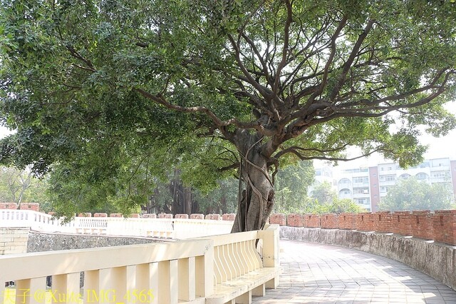 台南400年 探訪安平遺蹟 看見17世紀的大員