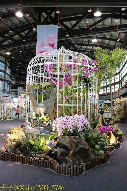 IMG_5746.jpg - 2023台灣國際蘭展