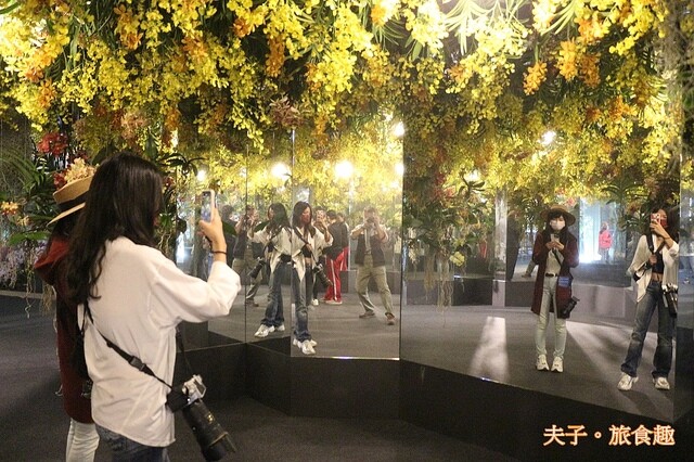 IMG_5679-1.jpg - 2023台灣國際蘭展