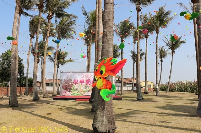 IMG_5463.jpg - 台南 2023學甲蜀葵花海 20230303