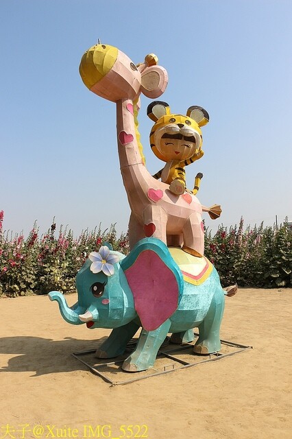 IMG_5522.jpg - 台南 2023學甲蜀葵花海 20230303