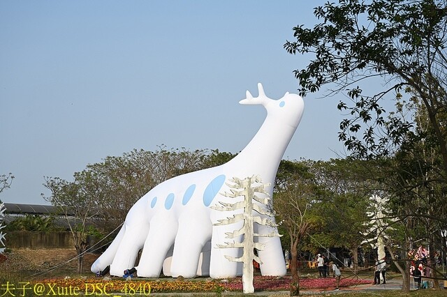 2023台灣國際蘭展 魔鏡世界 蘭花遇見恐龍