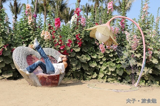 2023學甲蜀葵花文化節 春暖花開 開好開滿