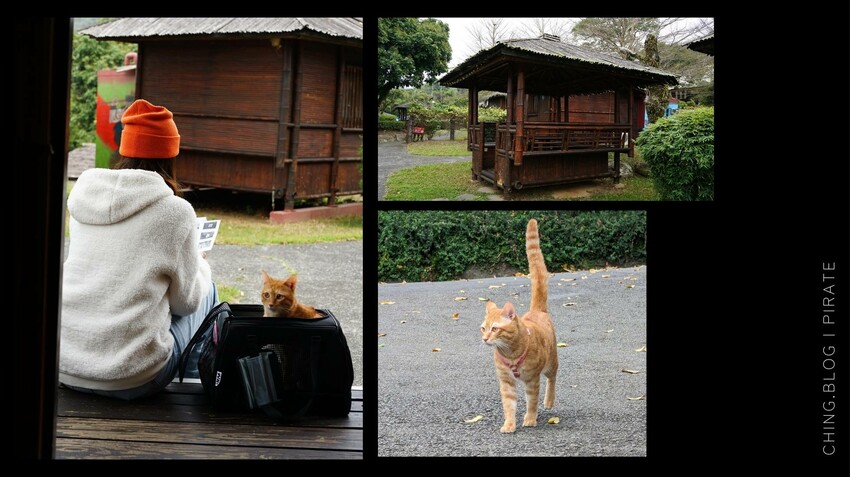 南投海盜村1泊4食》必玩遊樂設施和住宿評價！最新2023南投旅遊親子景點