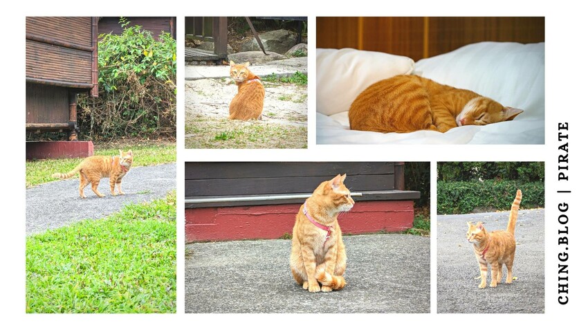 南投海盜村1泊4食》必玩遊樂設施和住宿評價！最新2023南投旅遊親子景點