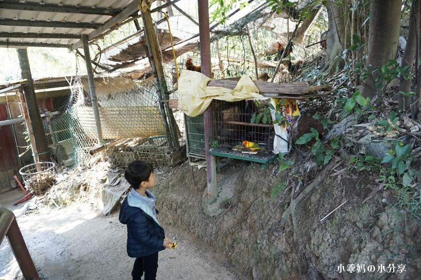 基隆居然有這麼好玩的農場...
