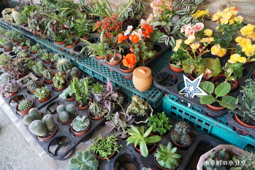 基隆居然有這麼好玩的農場...