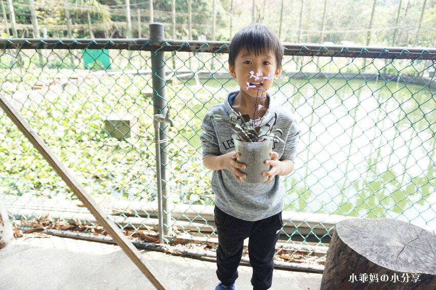 基隆居然有這麼好玩的農場...