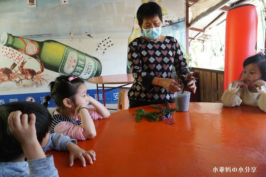 基隆居然有這麼好玩的農場...