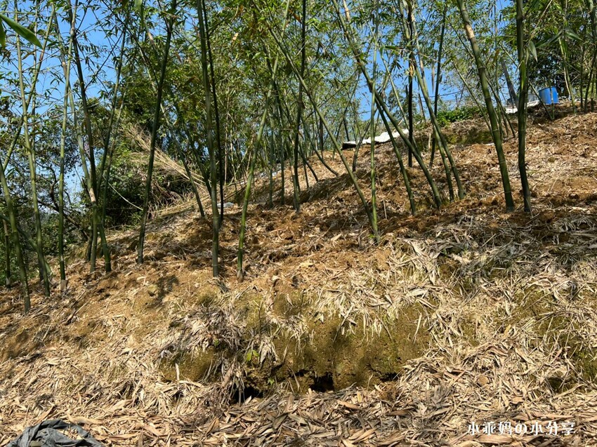 基隆居然有這麼好玩的農場...