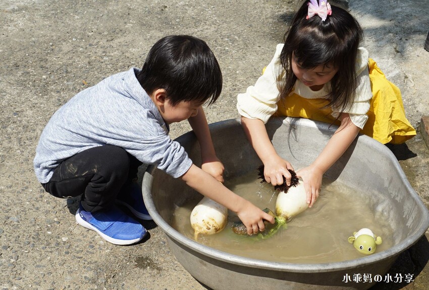 基隆居然有這麼好玩的農場...