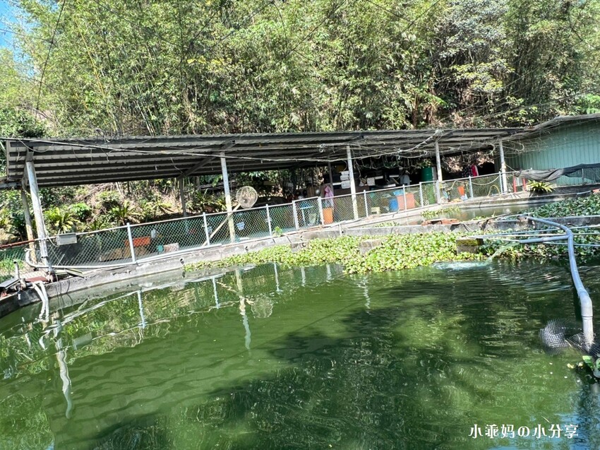 基隆居然有這麼好玩的農場...