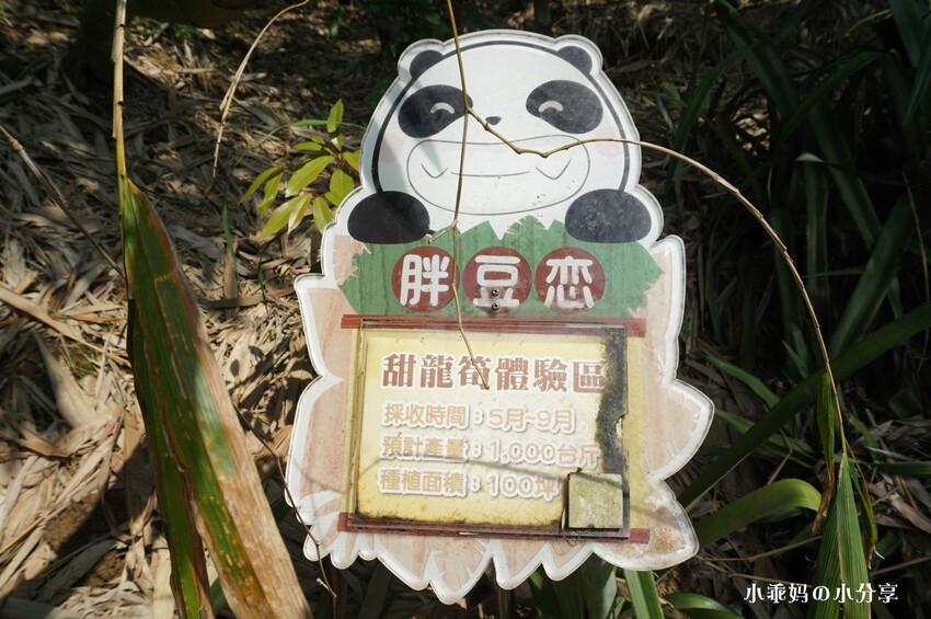 基隆居然有這麼好玩的農場...