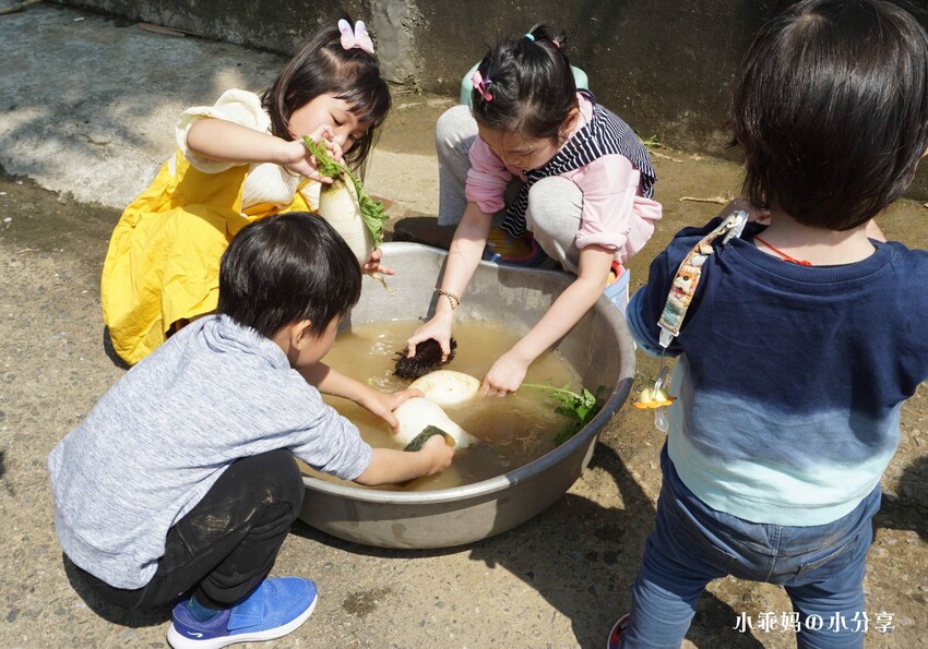 基隆居然有這麼好玩的農場...