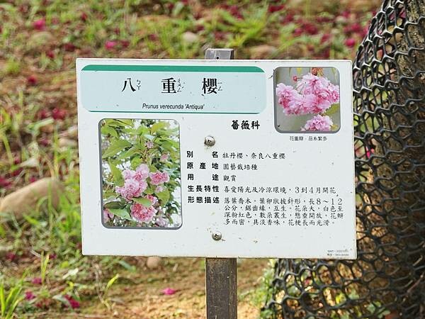 大兒童遊戲場-鶯歌永吉公園 (3).JPG