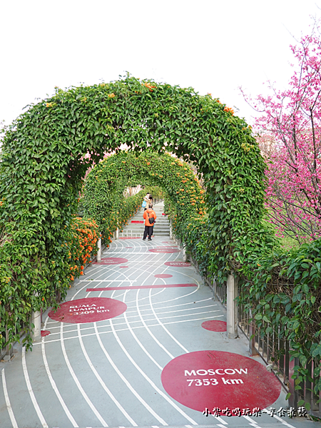 2023炮仗花-鶯歌永吉公園 (3).png