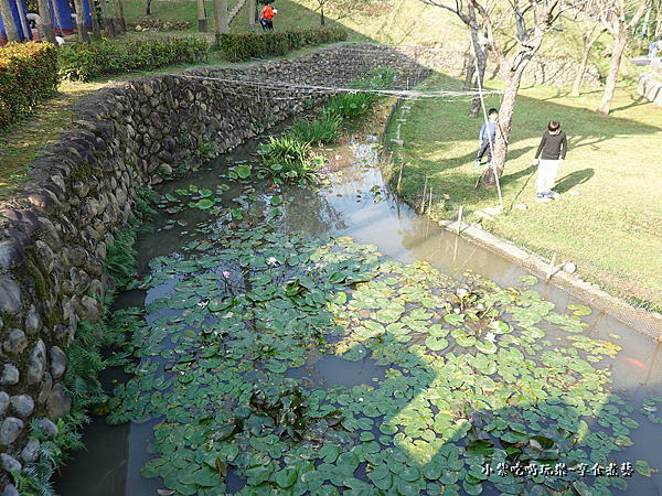 荷花池-鶯歌永吉公園 (2).png