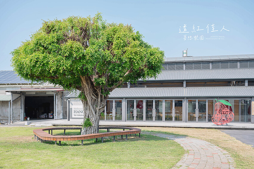屏東景點 | 透紅佳人夢想樂園 | 走入佳冬鄉農會品嚐吹著海風長大的蓮霧，體驗客家柴燒披薩、手洗愛玉
