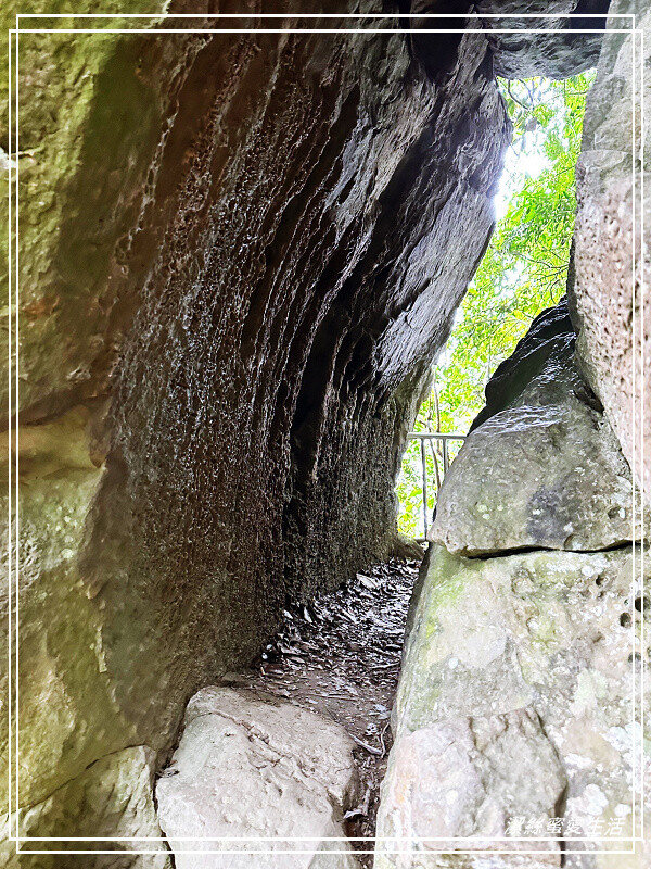 仙山登山步道-苗栗獅潭/手腳並用方可進!三角點瞭闊美景必打卡