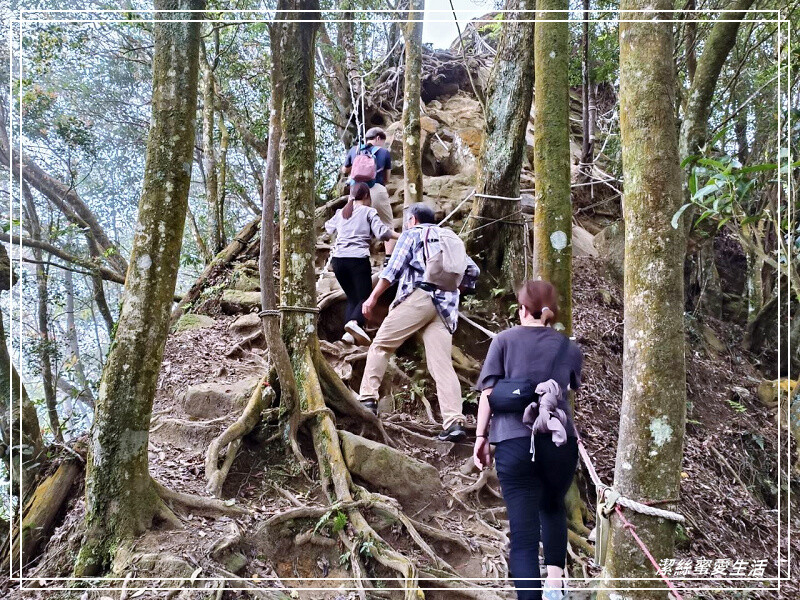 仙山登山步道-苗栗獅潭/手腳並用方可進!三角點瞭闊美景必打卡