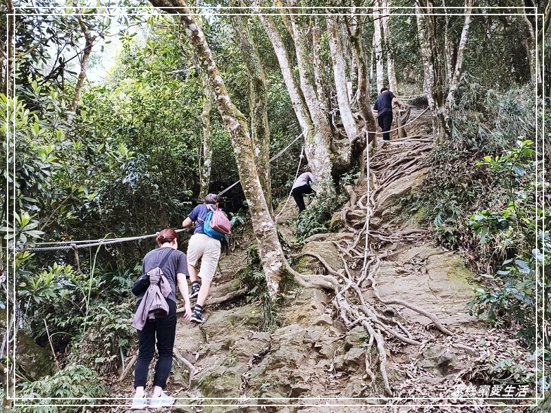 仙山登山步道-苗栗獅潭/手腳並用方可進!三角點瞭闊美景必打卡