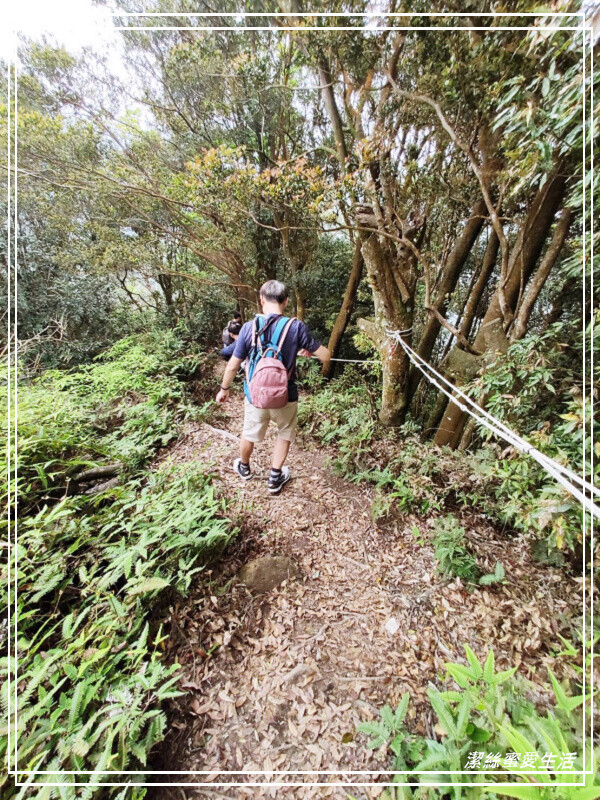 仙山登山步道-苗栗獅潭/手腳並用方可進!三角點瞭闊美景必打卡