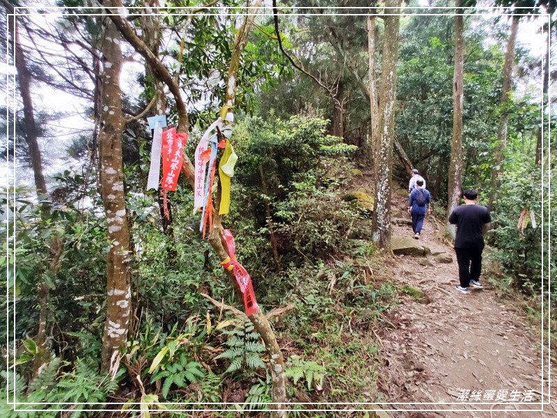 仙山登山步道-苗栗獅潭/手腳並用方可進!三角點瞭闊美景必打卡