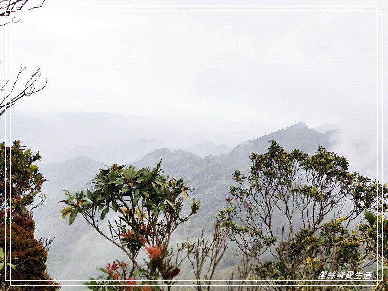 仙山登山步道-苗栗獅潭/手腳並用方可進!三角點瞭闊美景必打卡