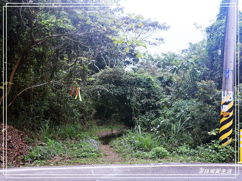 仙山登山步道-苗栗獅潭/手腳並用方可進!三角點瞭闊美景必打卡