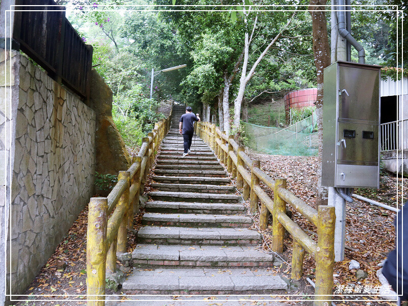 仙山登山步道-苗栗獅潭/手腳並用方可進!三角點瞭闊美景必打卡