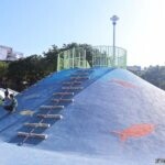 仙山登山步道-苗栗獅潭/手腳並用方可進!三角點瞭闊美景必打卡