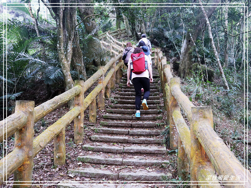 仙山登山步道-苗栗獅潭/手腳並用方可進!三角點瞭闊美景必打卡
