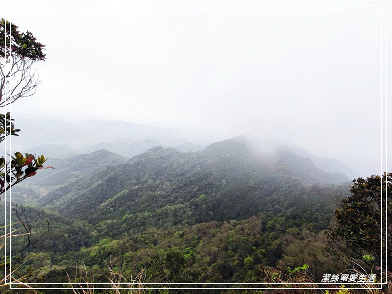 仙山登山步道-苗栗獅潭/手腳並用方可進!三角點瞭闊美景必打卡