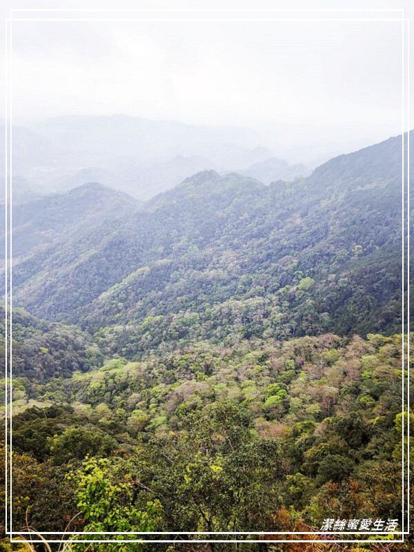仙山登山步道-苗栗獅潭/手腳並用方可進!三角點瞭闊美景必打卡