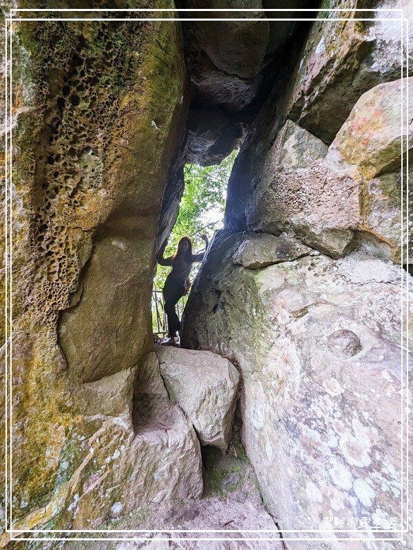 仙山登山步道-苗栗獅潭/手腳並用方可進!三角點瞭闊美景必打卡