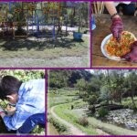 仙山登山步道-苗栗獅潭/手腳並用方可進!三角點瞭闊美景必打卡