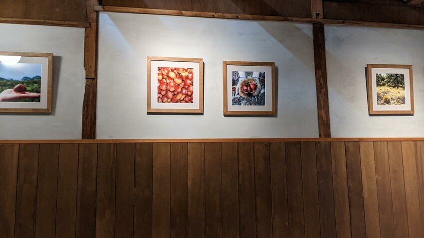 (京都)網美生榨栗子泥瀑布・栗子蒙布朗蛋糕！河原町必吃【和栗専門 紗織】