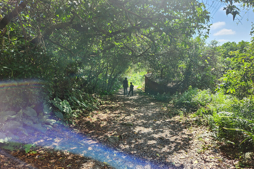 猴洞坑瀑布 猴洞坑瀑布