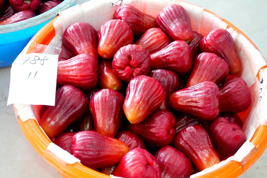 【屏東親子景點】♥透紅佳人探索樂園♥全台唯一蓮霧主題觀光工廠.可愛蓮霧巨人.蓮霧風味手作愛玉/窯烤披薩DIY