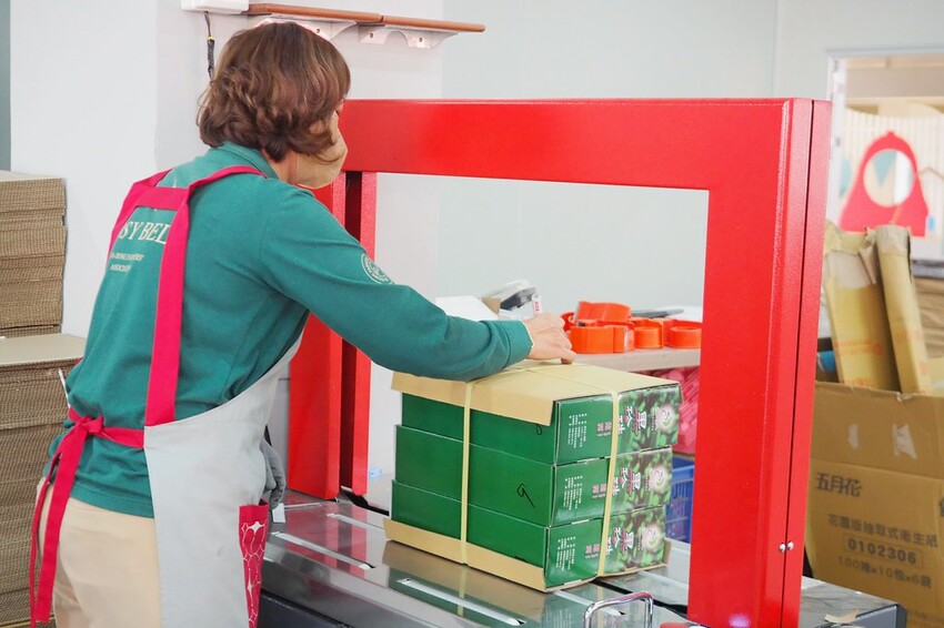 【屏東親子景點】♥透紅佳人探索樂園♥全台唯一蓮霧主題觀光工廠.可愛蓮霧巨人.蓮霧風味手作愛玉/窯烤披薩DIY