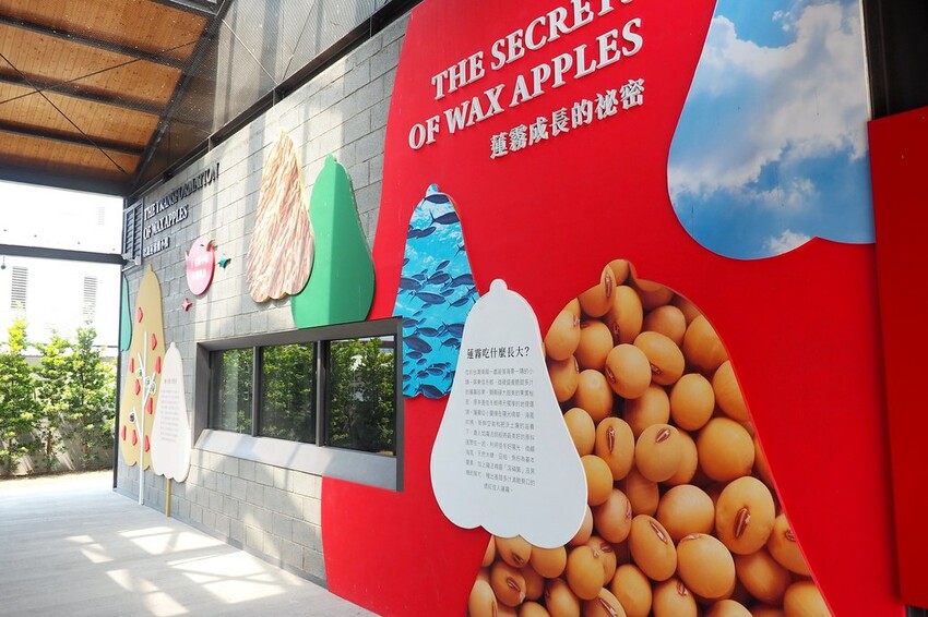 【屏東親子景點】♥透紅佳人探索樂園♥全台唯一蓮霧主題觀光工廠.可愛蓮霧巨人.蓮霧風味手作愛玉/窯烤披薩DIY