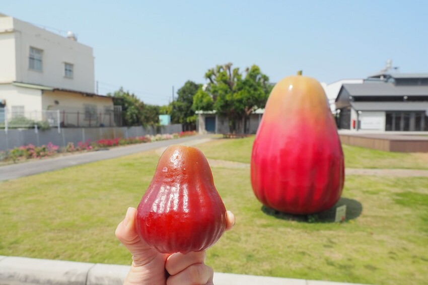 【屏東親子景點】♥透紅佳人探索樂園♥全台唯一蓮霧主題觀光工廠.可愛蓮霧巨人.蓮霧風味手作愛玉/窯烤披薩DIY