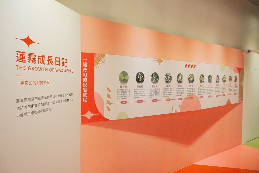 【屏東親子景點】♥透紅佳人探索樂園♥全台唯一蓮霧主題觀光工廠.可愛蓮霧巨人.蓮霧風味手作愛玉/窯烤披薩DIY